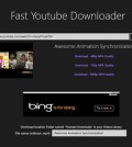 Fast Youtube Downloader free download for Windows 8