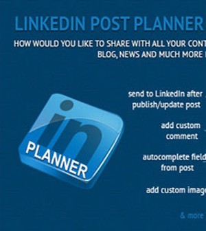 LinkedIn Post Planner Scheduler - Wordpress Plugin