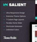 Salient - Themeforest Responsive Portfolio & Blog Theme