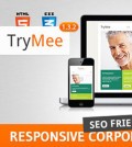 TryMee - Themeforest Premium Responsive Corporate WP